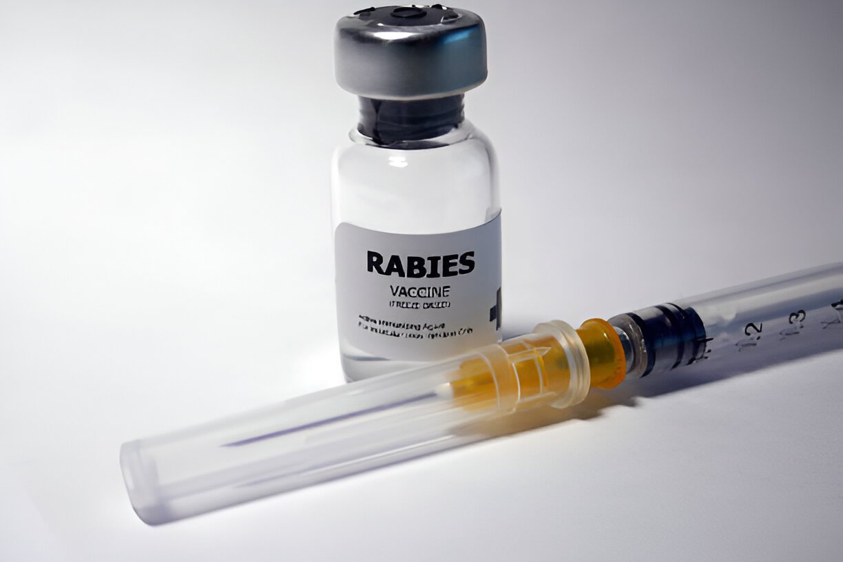 Rabies Vaccine