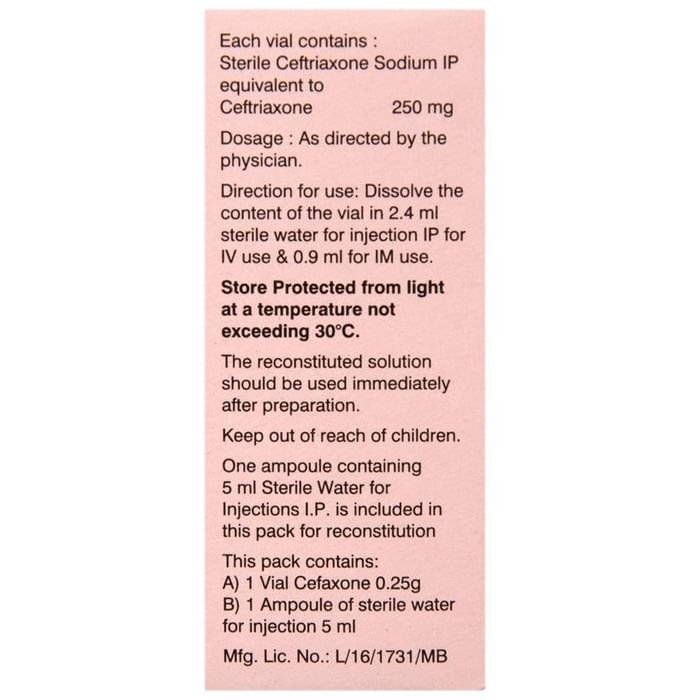 Cefaxone 0.25g Injection    Ceftriaxone 250mg