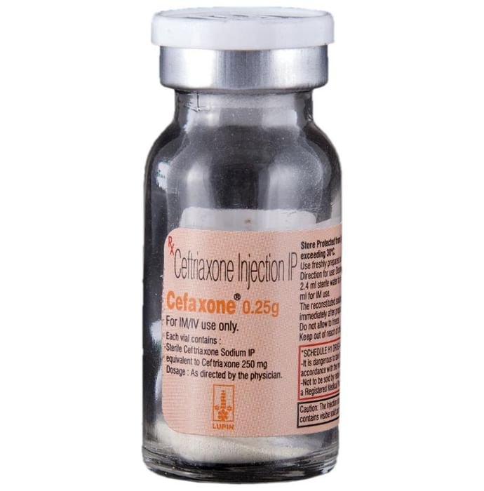 Cefaxone 0.25g Injection    Ceftriaxone 250mg